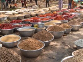 Nkwanta North: Female farmers sound alarm over plummeting produce prices 
