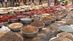Nkwanta North: Female farmers sound alarm over plummeting produce prices 