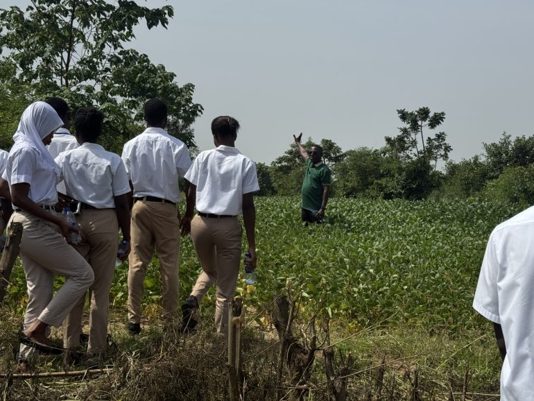 CSIR-CRI leads push for early generation soybean seeds in Ghana