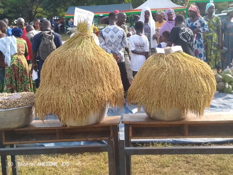 Farmers gather in Dambai to celebrate agricultural excellence