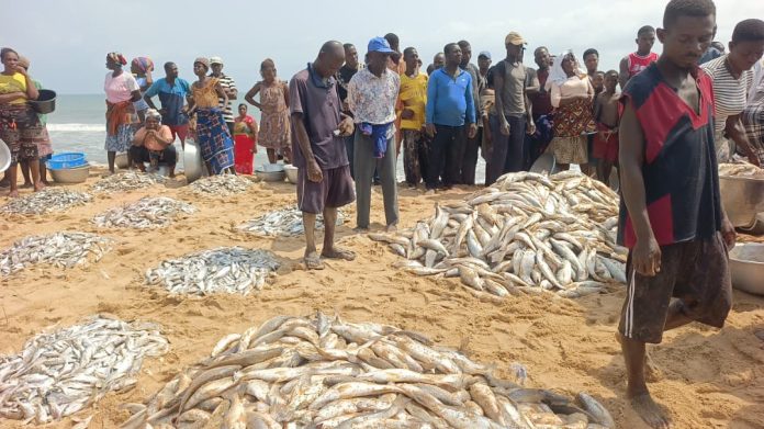 Social Fisherfolks Woe