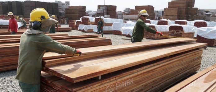 Global exports of wood and paper products increased by 1.4 percent to reach $486 billion in 2024. ©FAO/Arvydas Lebedys