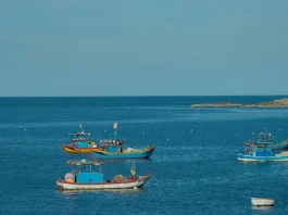 EJN Story Grants on Fisheries Transparency