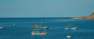 EJN Story Grants on Fisheries Transparency