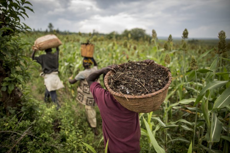 The report presents strategies for producing more – and better – food for a growing population while ensuring the responsible and resilient management of land, soil, and water. ©FAO/Marco Longari
