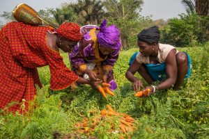 IYWF 2026 will raise awareness and promote actions to close the gender gaps and improve women’s livelihoods worldwide.©FAO/Sebastian Liste