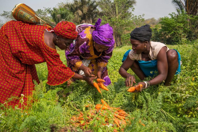IYWF 2026 will raise awareness and promote actions to close the gender gaps and improve women’s livelihoods worldwide. ©FAO/Sebastian Liste