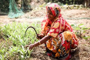 The FAO-GEF portfolio in support of environment, climate and biodiversity action through agriculture and food systems in countries has now surpassed $2 billion in grants, leveraging more than $14 billion in co-financing.©FAO/GMB Akash