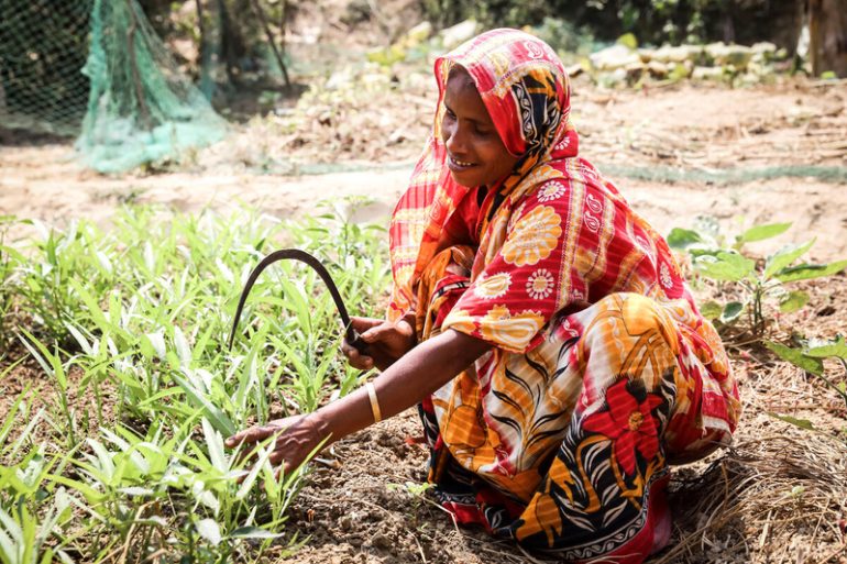 The FAO-GEF portfolio in support of environment, climate and biodiversity action through agriculture and food systems in countries has now surpassed $2 billion in grants, leveraging more than $14 billion in co-financing. ©FAO/GMB Akash