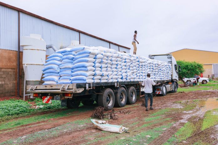 FAO staff inspecting and verifying the seed quantities before transportation to Kordofan and Darfur in Sararat Warehouse, Sudan. ©FAO/Mahmoud Shamoruk