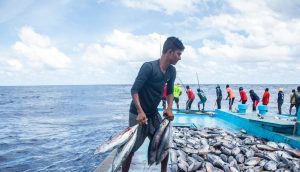 Fishing off the Maldives.©FAO/Giulio Napolitano