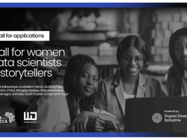 WanaData Fellowships: Digitalise Youth Voices in Africa