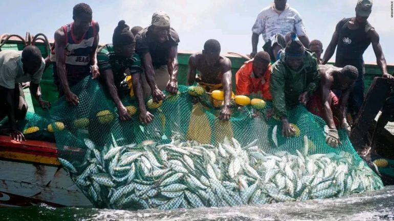Illegal fishing activities surge along Volta Coast