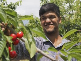 Almosi Valley – a living agricultural heritage system