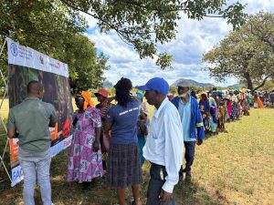 A symbol of dignity and resilience, supporting households in Zimbabwe to nourish their families and thrive through improved food security. 