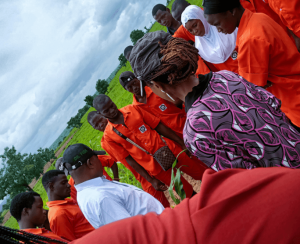 Leventis Foundation Nigeria Agricultural Training Programme 2026 