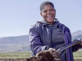 More than a staple: planting potatoes, harvesting the future (short version)