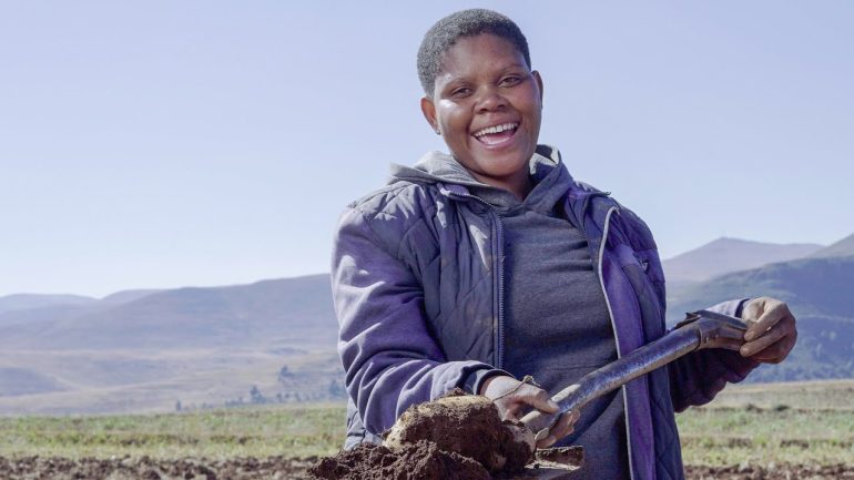 More than a staple: planting potatoes, harvesting the future (short version)