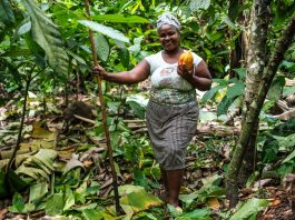 The Chocolate Island: Growing sustainable cocoa in Sao Tome (short version)