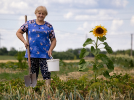 ©FAO/Anastasiia Borodaienko
