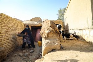 The France-supported project focuses on strengthening household food production, improving access to nutritious diets and reducing malnutrition, particularly among women and children, in earthquake-affected areas of eastern Afghanistan.©FAO/Fahim Rahimi
