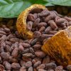 Cocoa
