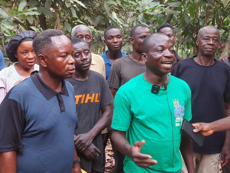 Dormaa Central cocoa farmers accept new producer price, urge structural reforms