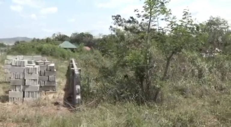 Blue Skies appeals to government over land encroachment