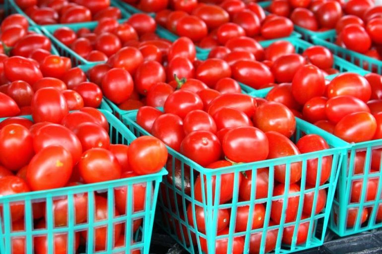 Accountability gaps undermining Ghana’s tomato potential – Dr Azinu
