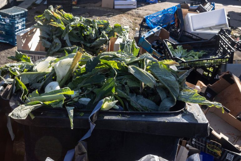 Food waste is a good substrate for bacterial growth and could foster the survival of microbes and genes resistant to existing antimicrobials. ©FAO/Riccardo De Luca