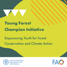 FAO's AIM4Forests Young Forest Champions Initiative