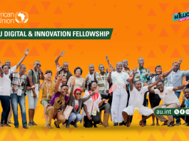 AU Digital & Innovation Fellowship Program