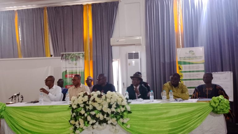 Global Shea Alliance calls for support ahead of Shea 2026 conference
