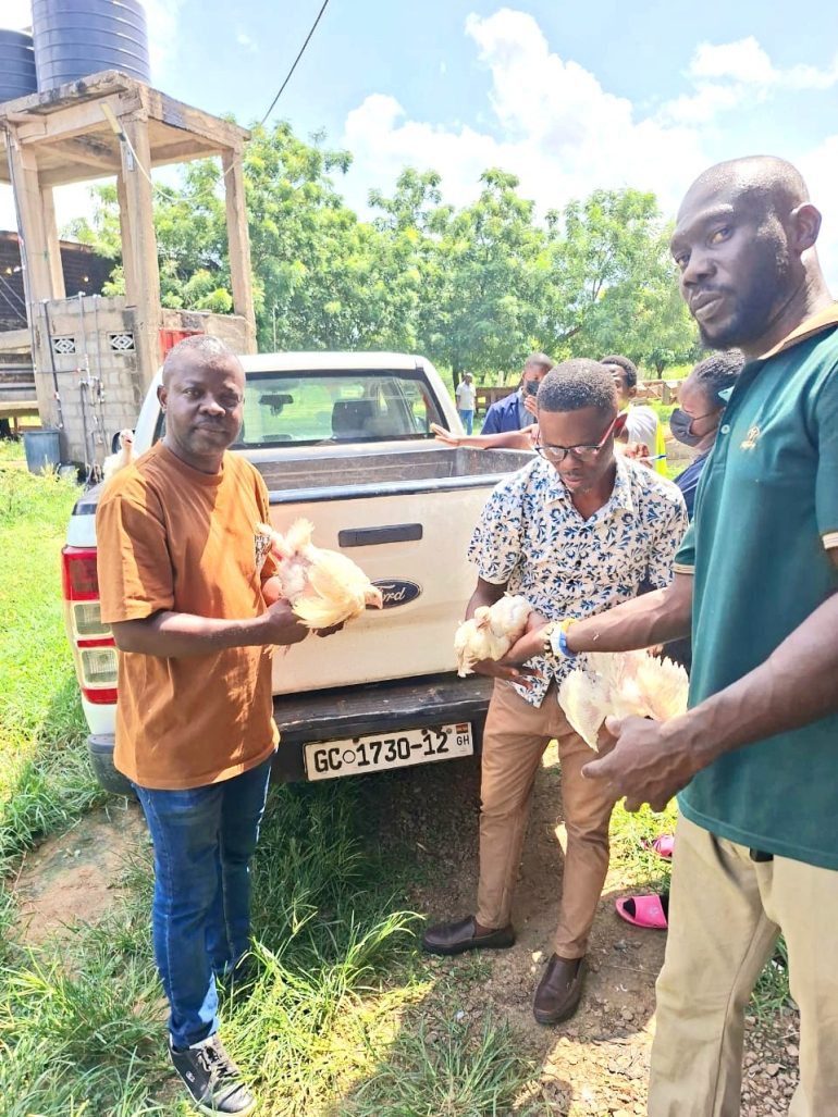 Somanya residents receive local chickens under Feed Ghana Programme
