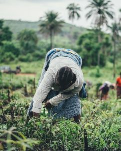 Katapult Africa Program 2026