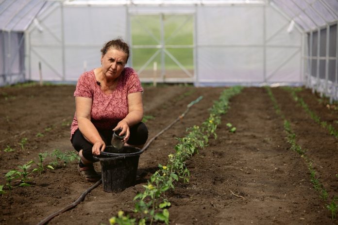 ©FAO/Anastasiia Borodaienko