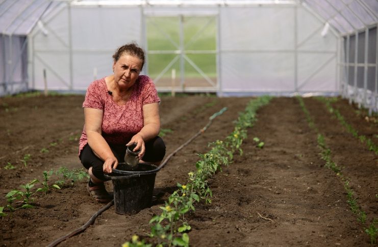 ©FAO/Anastasiia Borodaienko