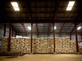 Disruptions to a critical global trade corridor are triggering interconnected shocks across energy, fertilizer, and agrifood systems. ©FAO/Sarah Elliott