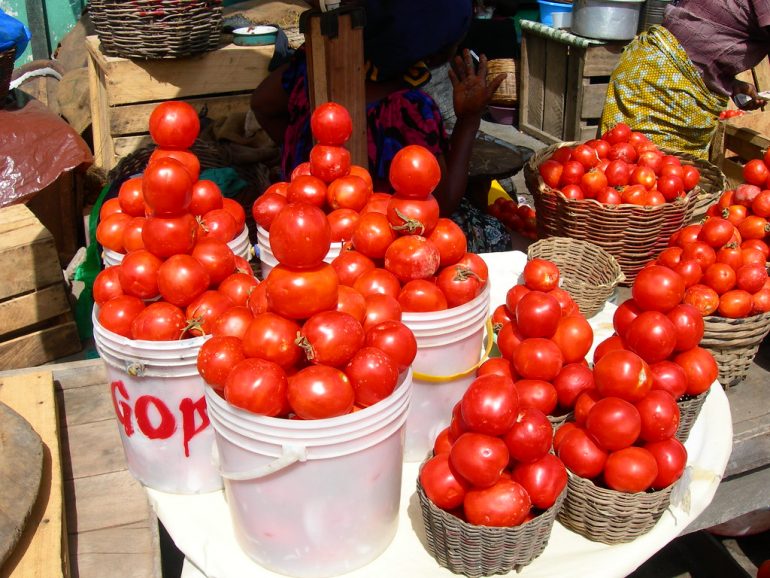 Tomato traders urge gov’t to strengthen farmer training programmes 