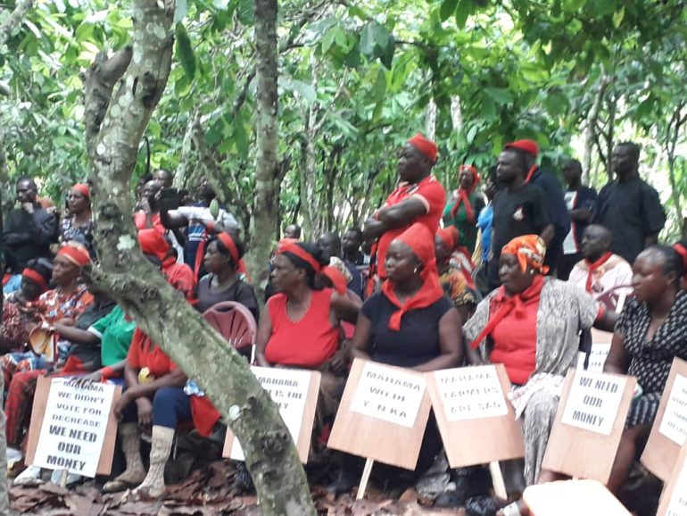 Minority Chief Whip questions timing of cocoa producer price cut
