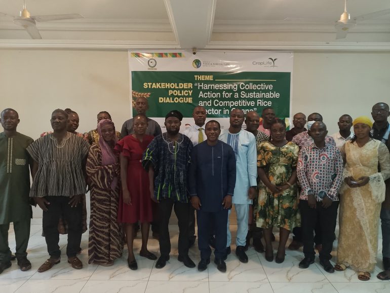 CARP Ghana hosts maiden dialogue to boost rice sector development