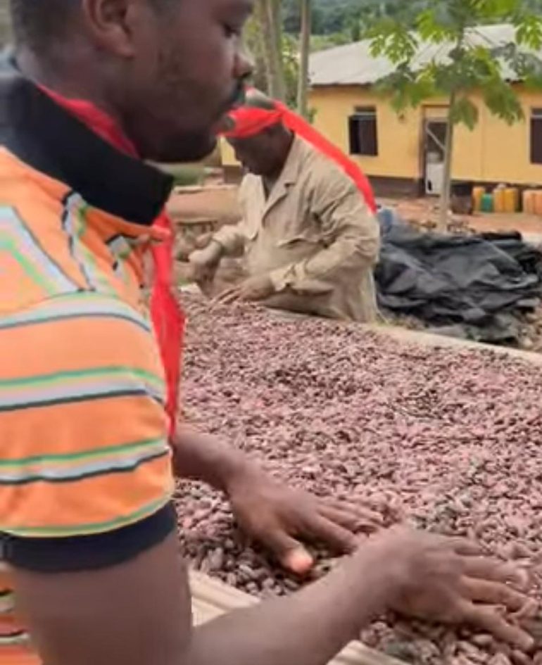 Payment delays in cocoa sector raise welfare concerns