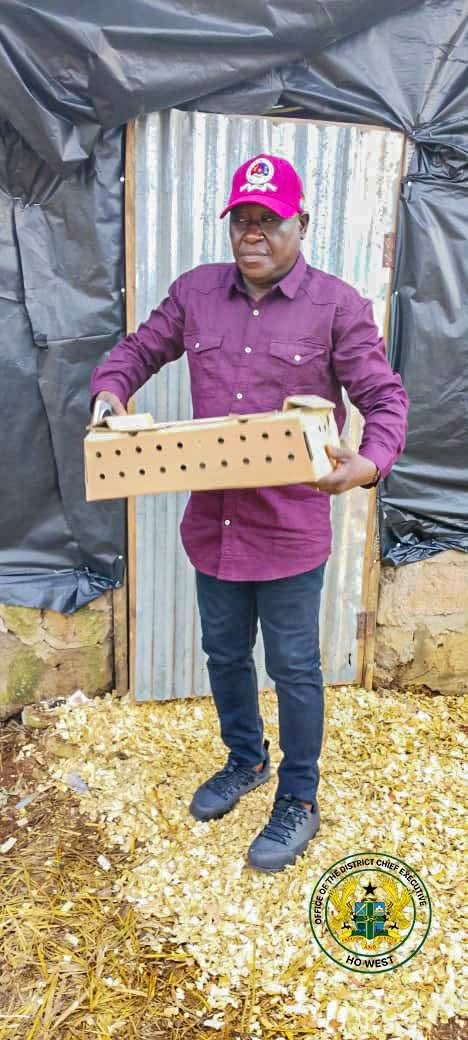 Ho West District gets chicks, feed, and vaccines under Nkoko Nkitinkiti