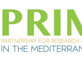 PRIMA Young Innovators Award 2026