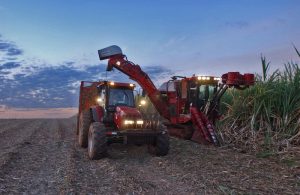 Harvesting sugarcane in Brazil.©FAO/Giuseppe Bizzarri