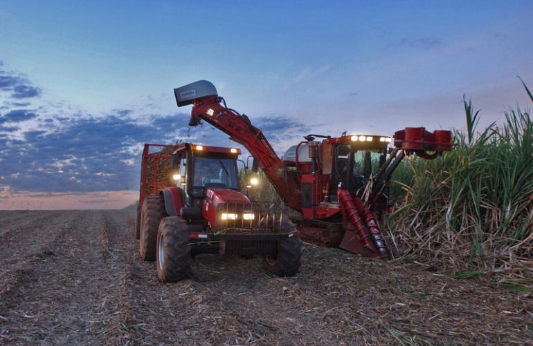 Harvesting sugarcane in Brazil. ©FAO/Giuseppe Bizzarri