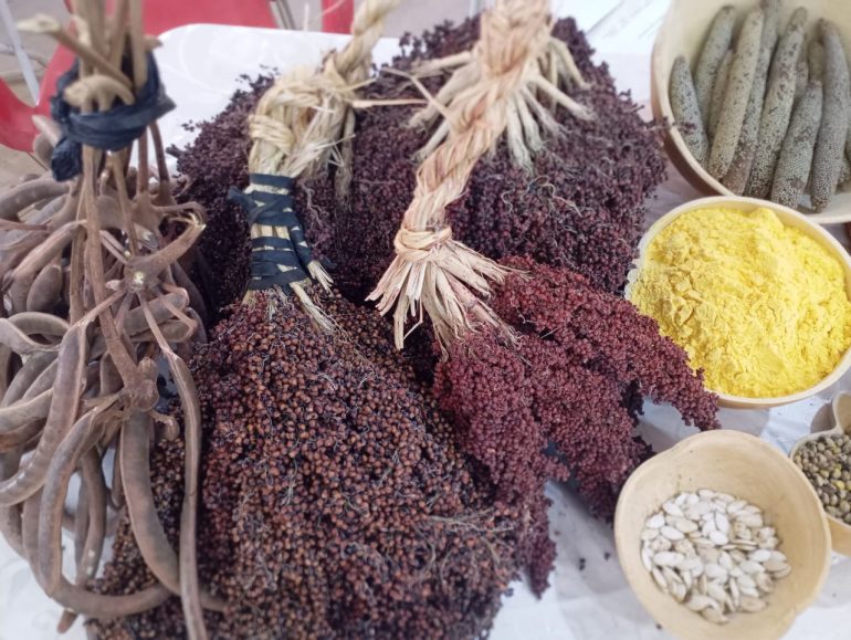 Indigenous seed loss threatens food security in Northern Ghana