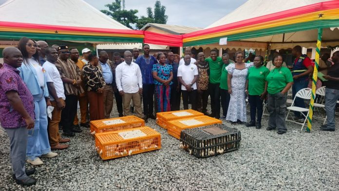 Ho Agriculture Broiler Project 1jpeg