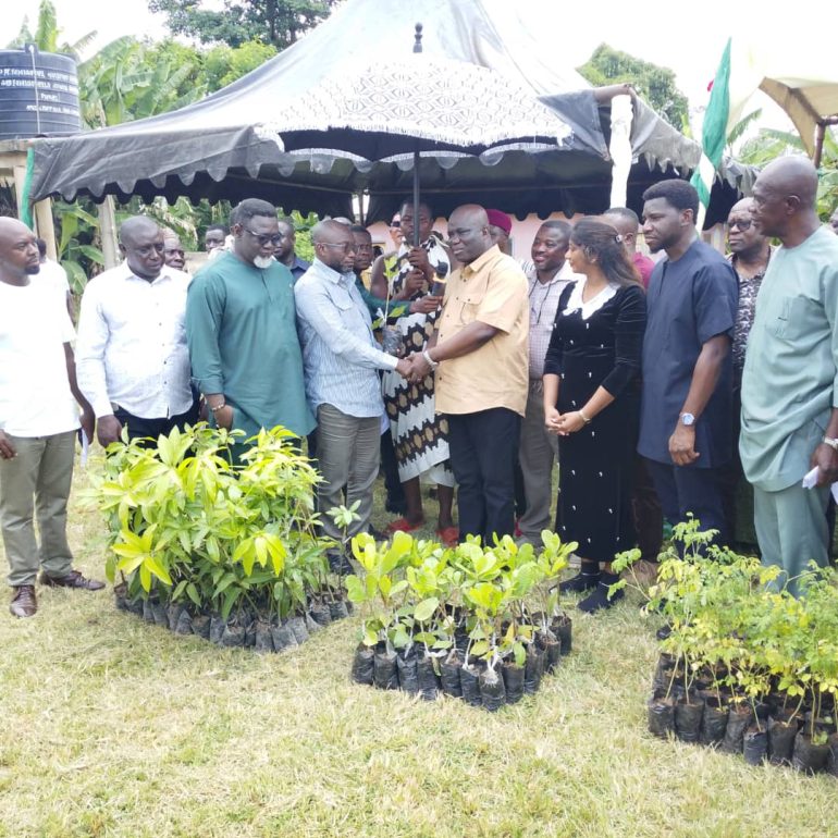 MoFA distributes over 1.2 million tree seedlings to farmers across 3 regions