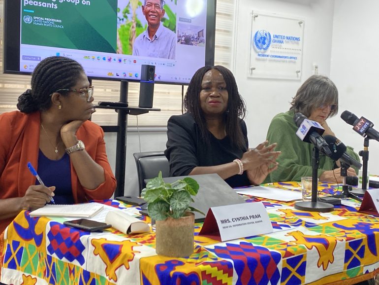 Ghana risks food crisis without sustainable agriculture – UN Working Group